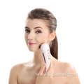 Skin Care RF/EMS Beauty Instrument
